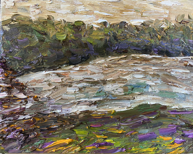 Pond